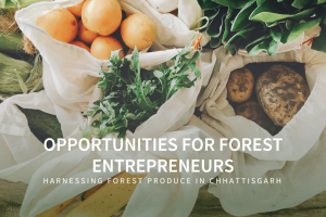 Harnessing Forest Produce in Chhattisgarh: Opportunities for Entrepreneurs